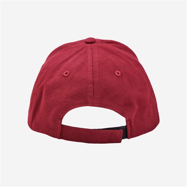 QUEENSLAND INTERCEPT CAP BACK 600 x 600