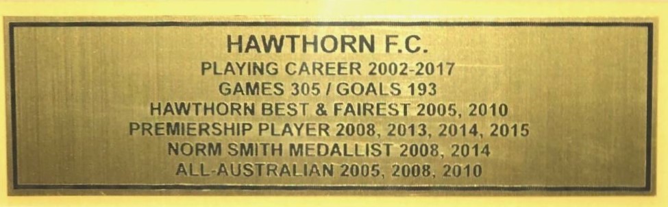 plaque fin